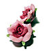 Rose_bicolore_rose