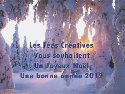 Voeux  noel 2011